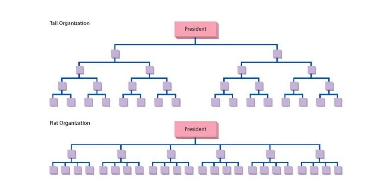 Tall and flat organizations