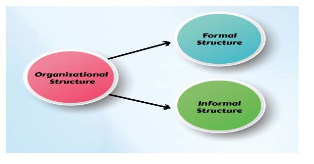 Understanding the Two Faces of Organizations: 